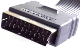 Male SCART Connector at the end of a ribbon cable